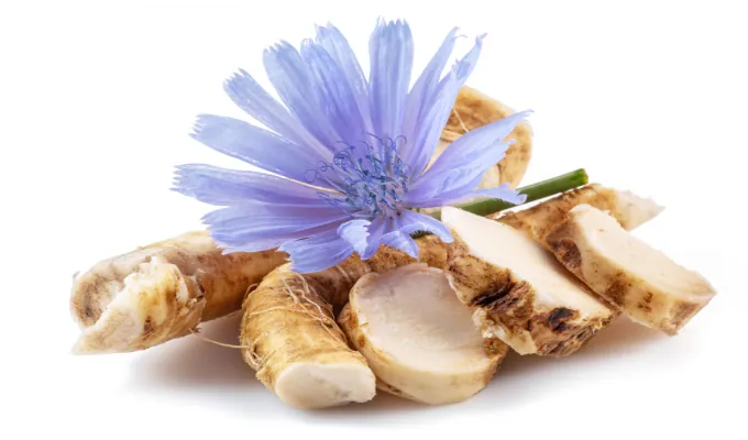 Chicory Root Inulin – Emma Supplement prebiotic fiber ingredient