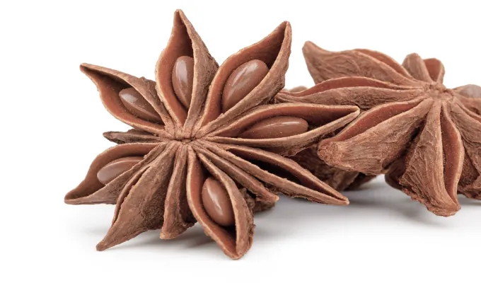 Star Anise – Emma Supplement natural digestive relief ingredient